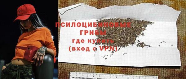 МДПВ Алексин