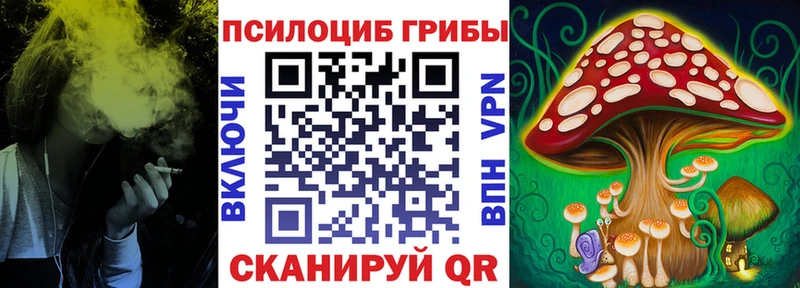 OMG ССЫЛКА закладки Санкт-Петербург Псилоцибиновые грибы MAGIC MUSHROOMS