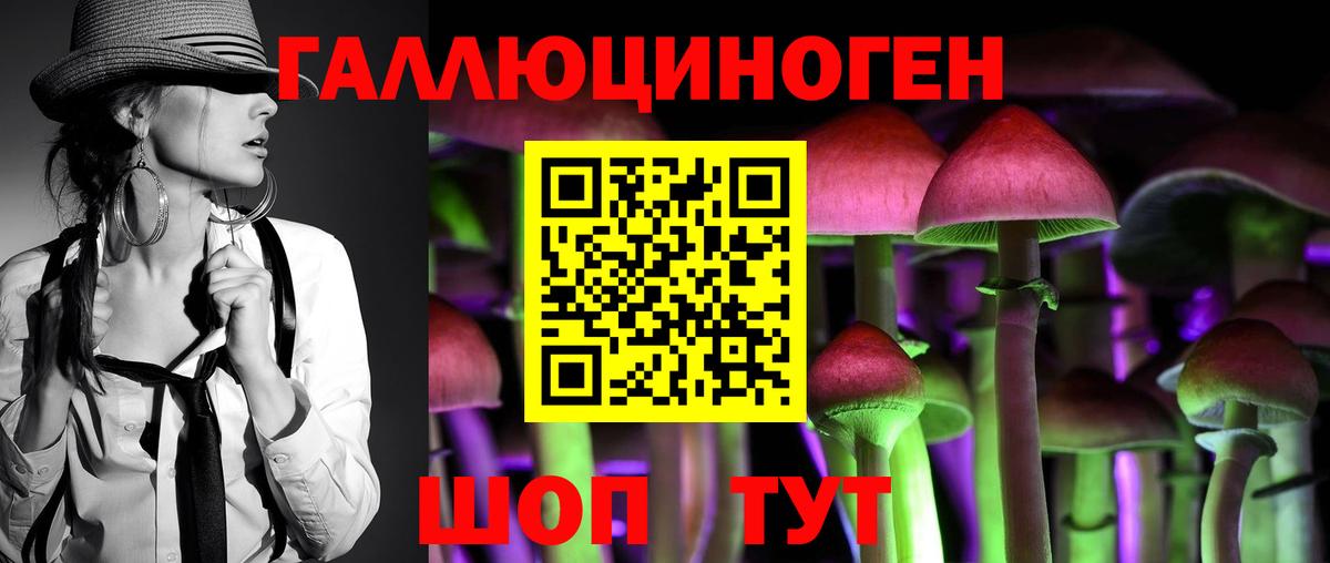 Галлюциногенные грибы прущие грибы Санкт-Петербург